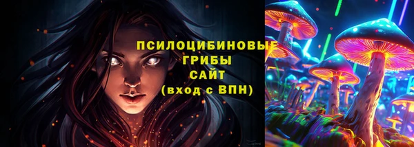 марки nbome Бородино