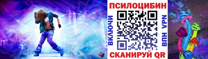 Псилоцибиновые грибы Psilocybine cubensis  Можайск 
